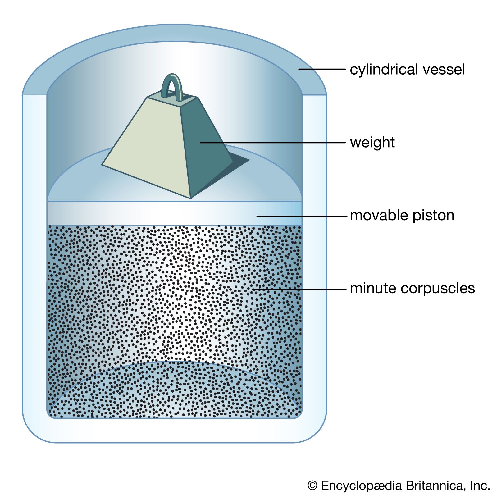 What Does a Physicist Study?